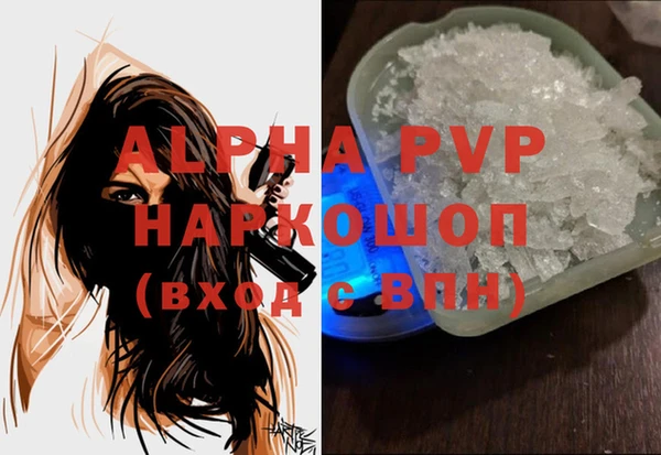 Альфа ПВП Верея