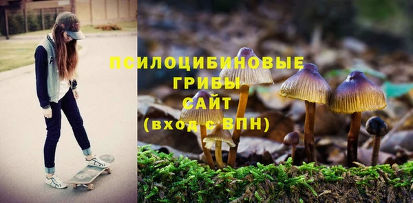 ГАЛЛЮЦИНОГЕННЫЕ ГРИБЫ Верхнеуральск