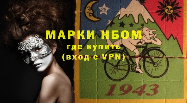 Альфа ПВП Верея