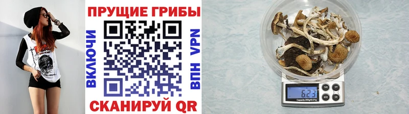 Галлюциногенные грибы ЛСД Купить Нягань